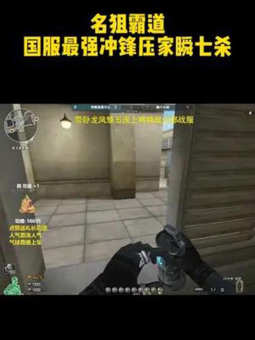 闪狙最全游戏攻略解说_闪狙最新游戏技巧通关