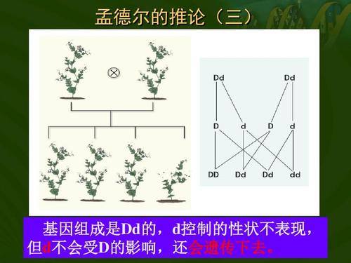 门德尔最全游戏攻略解说_门德尔最新游戏技巧通关
