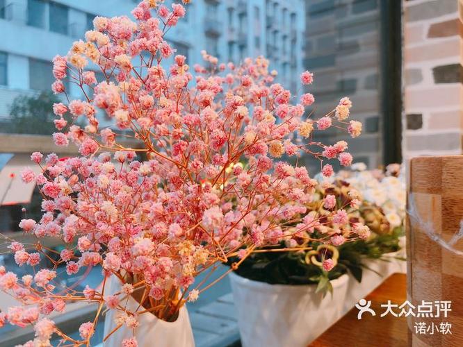 小软鲜花游戏手游下载_小软鲜花游戏官网下载_手机安卓苹果app