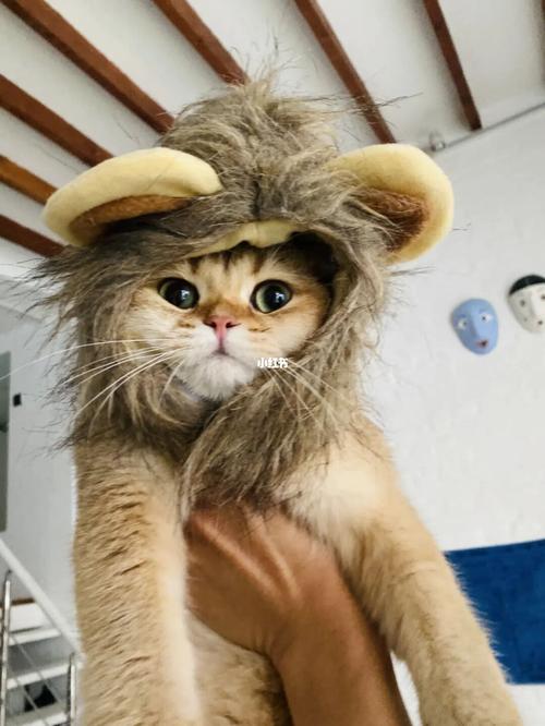 小辛巴找图案游戏下载_小辛巴找图案官网下载_手机安卓苹果app