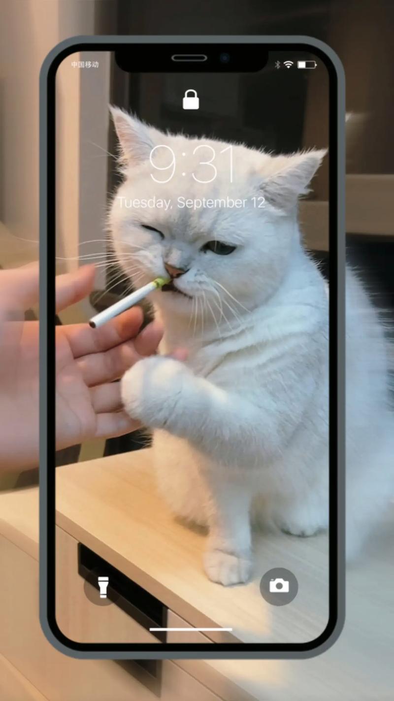 小猫爱抽烟游戏下载_小猫爱抽烟官网下载_安卓苹果app