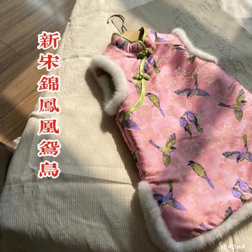 锦服最全游戏攻略解说_锦服最新游戏技巧通关