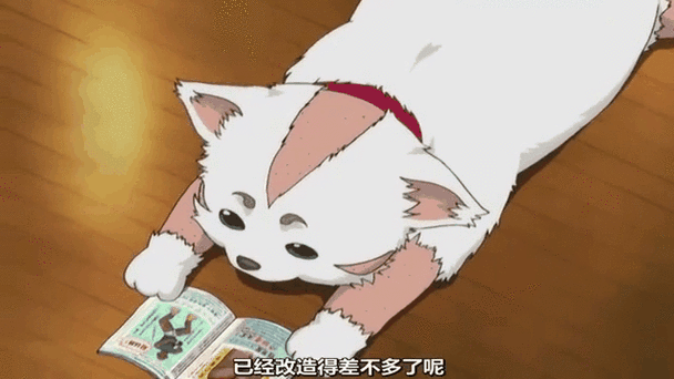 银魂定春最全游戏攻略解说_银魂定春最新游戏技巧通关