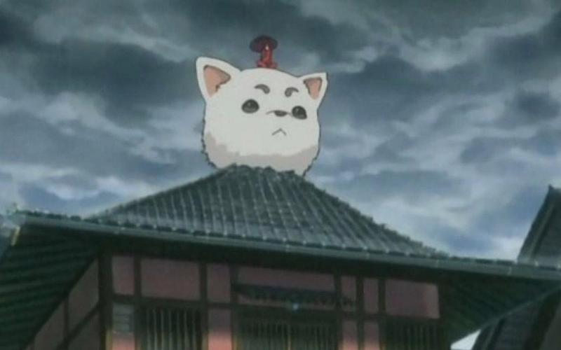 银魂定春最全游戏攻略解说_银魂定春最新游戏技巧通关