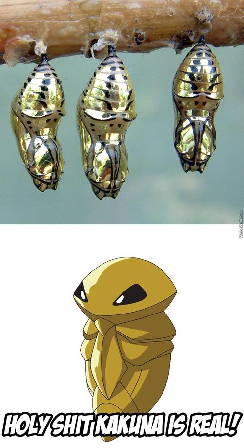 铁壳昆最全游戏攻略解说_铁壳昆最新游戏技巧通关