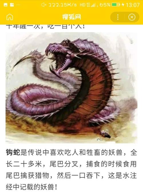 钩蛇最全游戏攻略解说_钩蛇最新游戏技巧通关