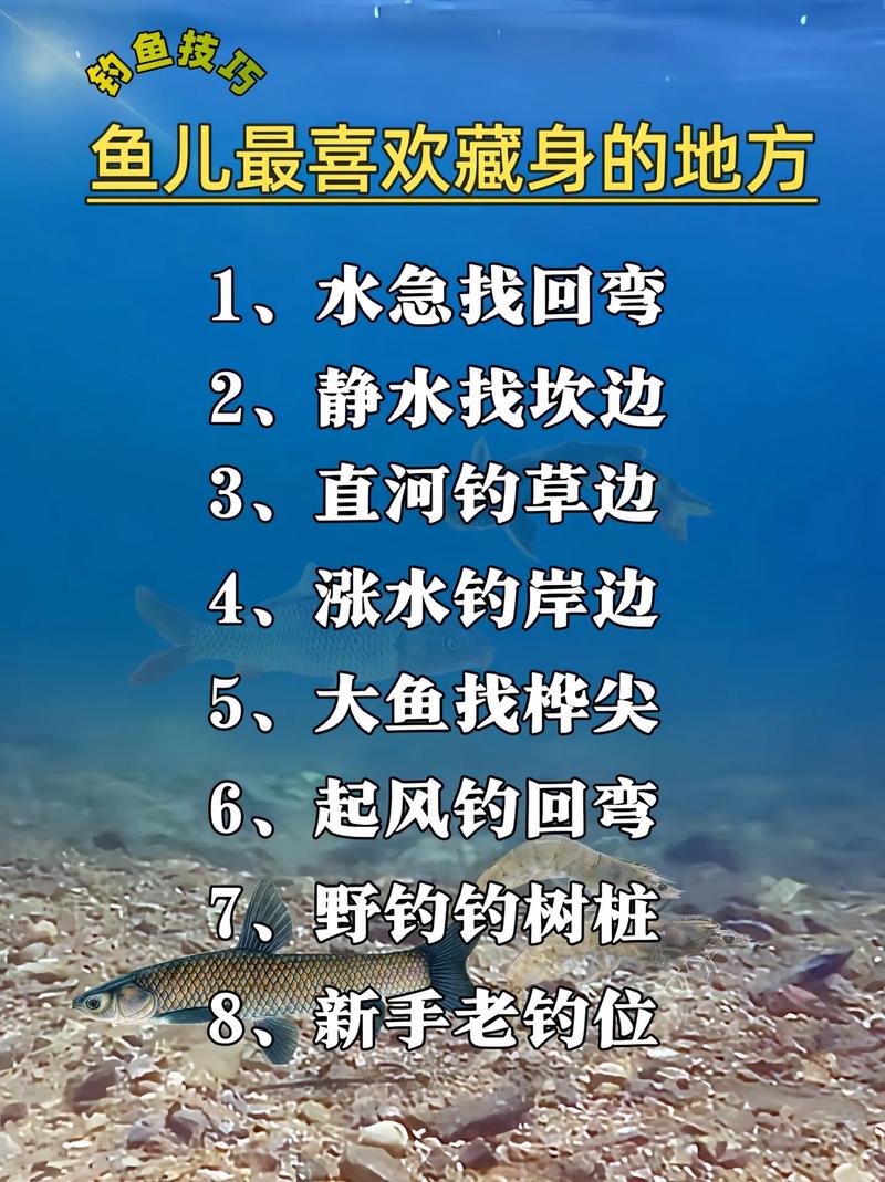 钓鱼钓鱼最全游戏攻略解说_钓鱼钓鱼最新游戏技巧通关