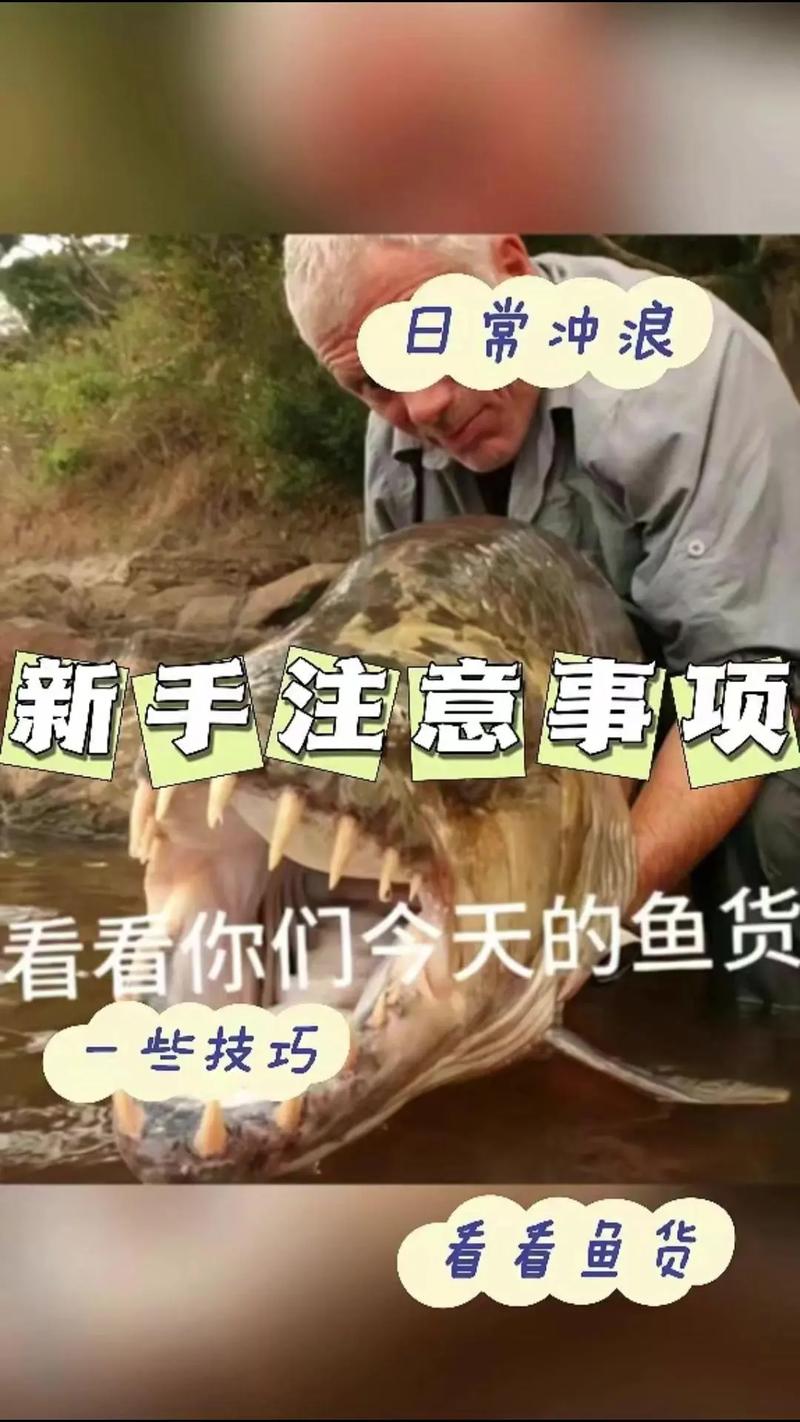 钓鱼比赛最全游戏攻略解说_钓鱼比赛最新游戏技巧通关