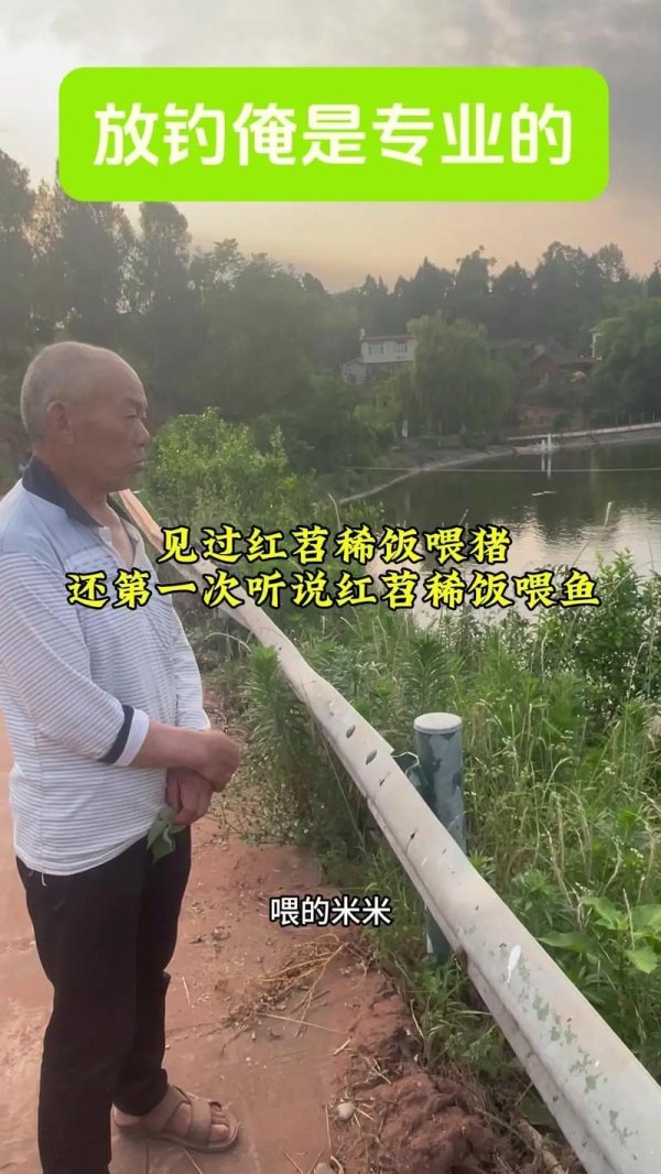 钓鱼发烧友最全游戏攻略解说_钓鱼发烧友最新游戏技巧通关