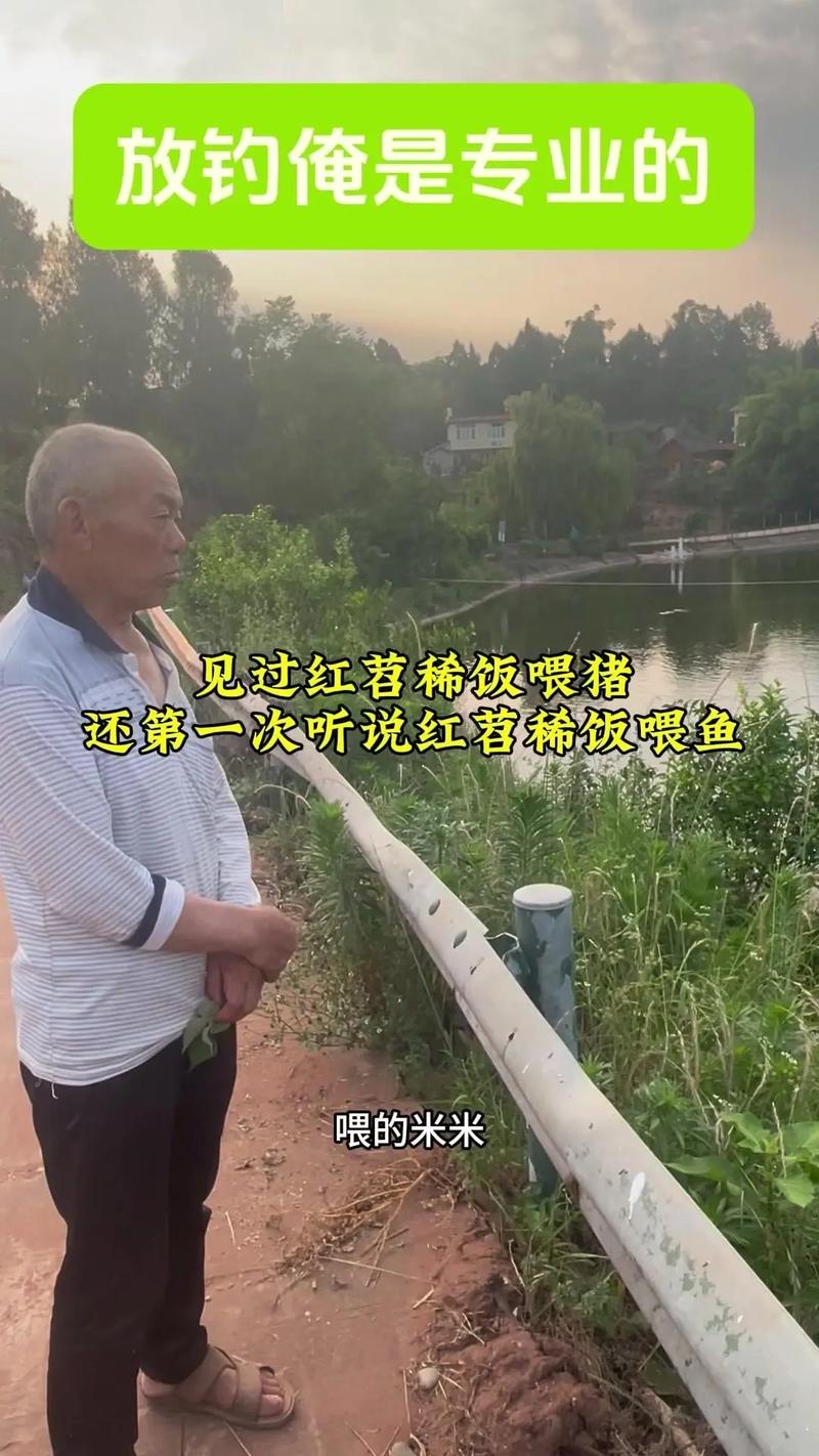 钓鱼发烧友最全游戏攻略解说_钓鱼发烧友最新游戏技巧通关