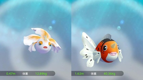 金鱼王最全游戏攻略解说_金鱼王最新游戏技巧通关