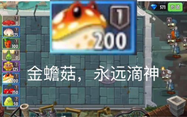 金蟾菇最全游戏攻略解说_金蟾菇最新游戏技巧通关