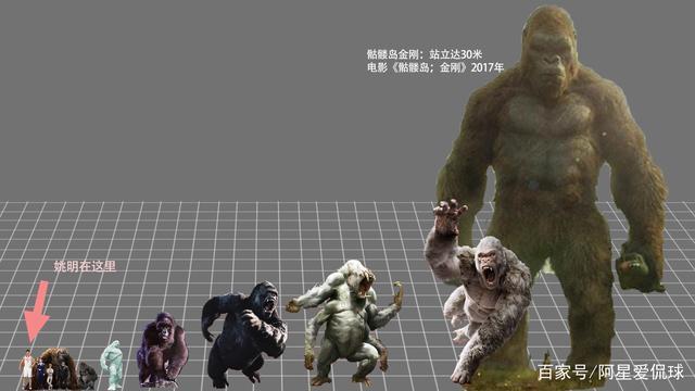 金刚球最全游戏攻略解说_金刚球最新游戏技巧通关