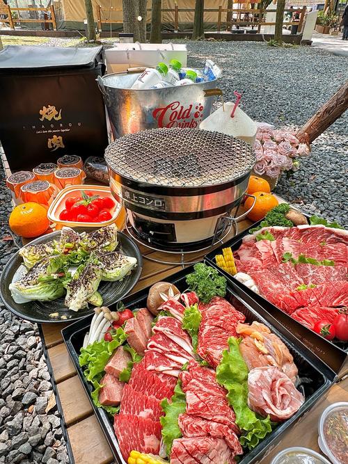 野炊露营最全游戏攻略解说_野炊露营最新游戏技巧通关