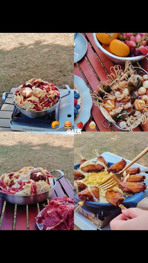 野炊露营最全游戏攻略解说_野炊露营最新游戏技巧通关