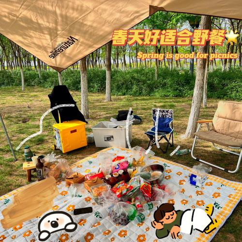 野炊露营最全游戏攻略解说_野炊露营最新游戏技巧通关