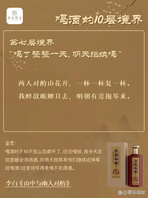 酒诗游戏全攻略解说_酒诗游戏最新技巧通关
