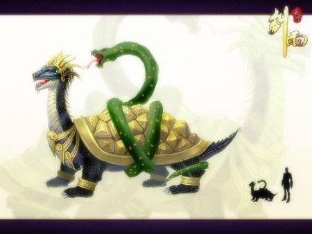 邪恶玄武技能搭配与实战技巧攻略_邪恶玄武宠物培养指南