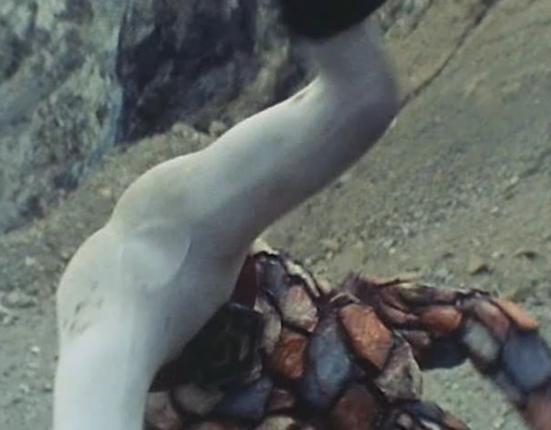 邪恶军团最全游戏攻略解说_邪恶军团最新游戏技巧通关