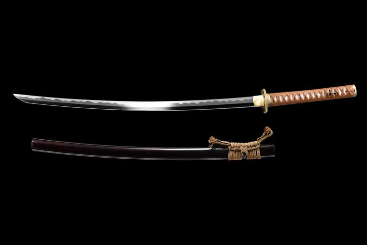 逆刃刀最全游戏攻略解说_逆刃刀最新游戏技巧通关