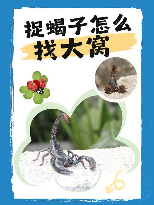 寻找隐藏的蝎子游戏下载_寻找隐藏的蝎子官网下载_手机安卓苹果app