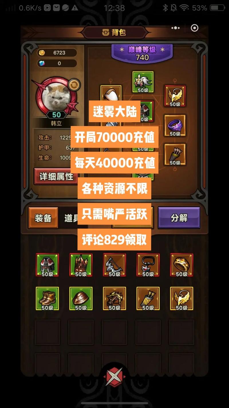 迷雾大陆破解版最全游戏攻略解说_迷雾大陆破解版最新游戏技巧通关