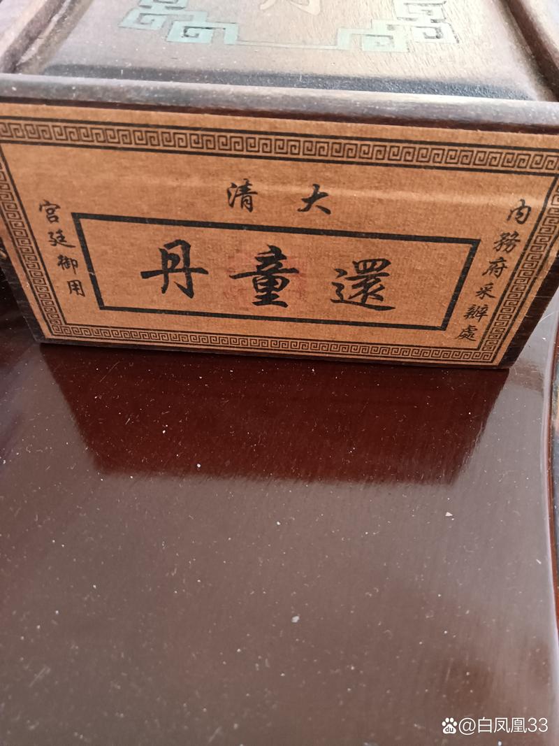 还童丹最全游戏攻略解说_还童丹最新游戏技巧通关