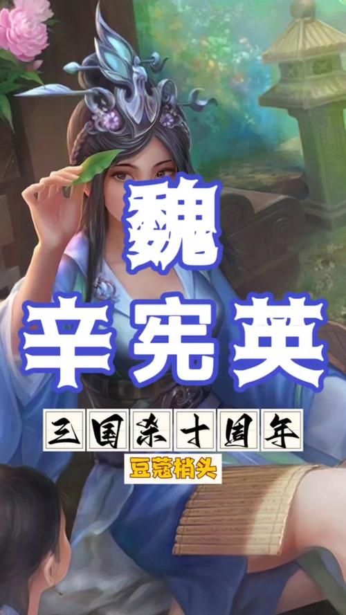 辛宪英最全游戏攻略解说_辛宪英最新游戏技巧通关