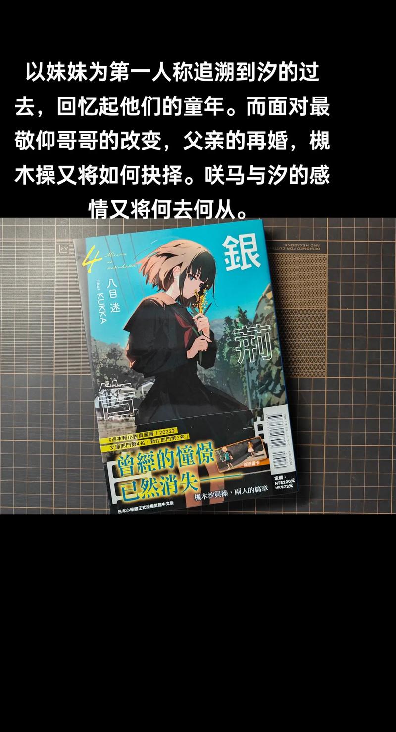 轻小说是什么意思最全游戏攻略解说_轻小说是什么意思最新游戏技巧通关