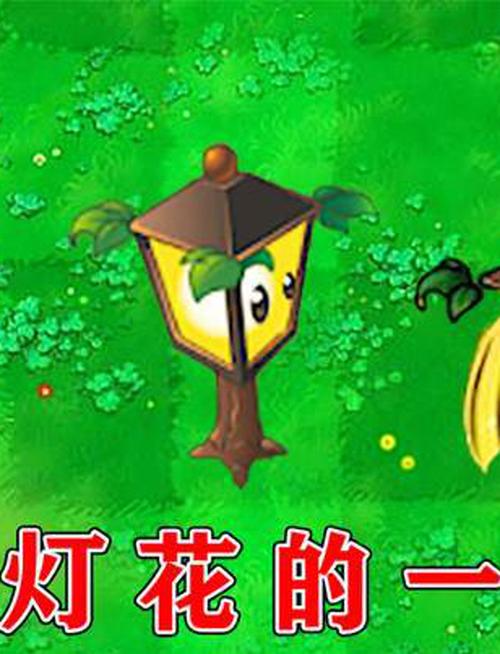 路灯花最全游戏攻略解说_路灯花最新游戏技巧通关