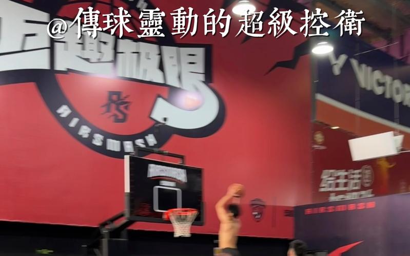 蹦床篮球最全游戏攻略解说_蹦床篮球最新游戏技巧通关