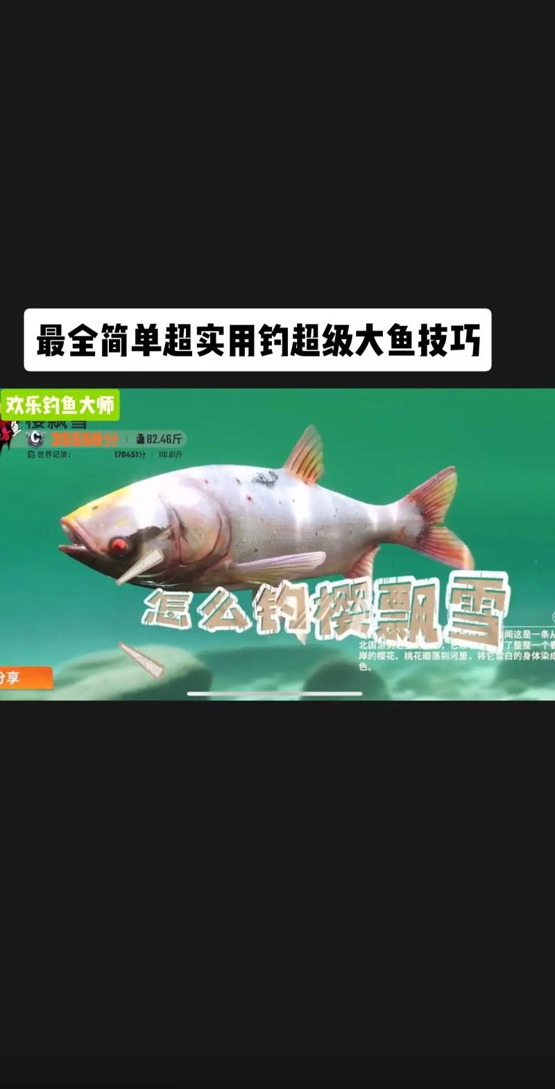 超级钓鱼最全游戏攻略解说_超级钓鱼最新游戏技巧通关