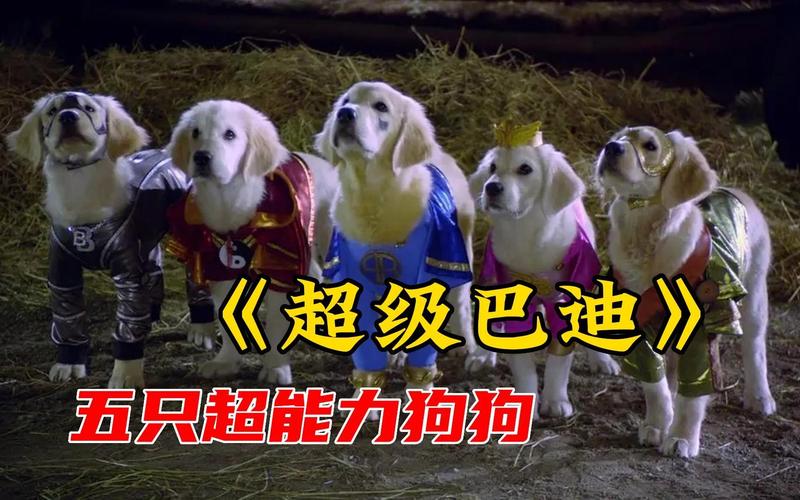 超级巴迪最全游戏攻略解说_超级巴迪最新游戏技巧通关