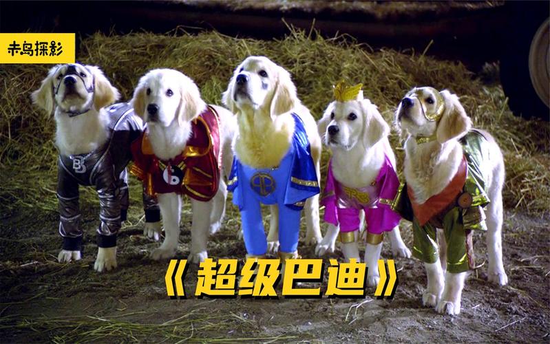 超级巴迪最全游戏攻略解说_超级巴迪最新游戏技巧通关