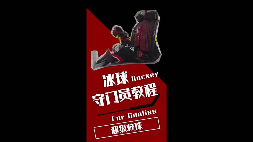 超级守门员最全游戏攻略解说_超级守门员最新游戏技巧通关