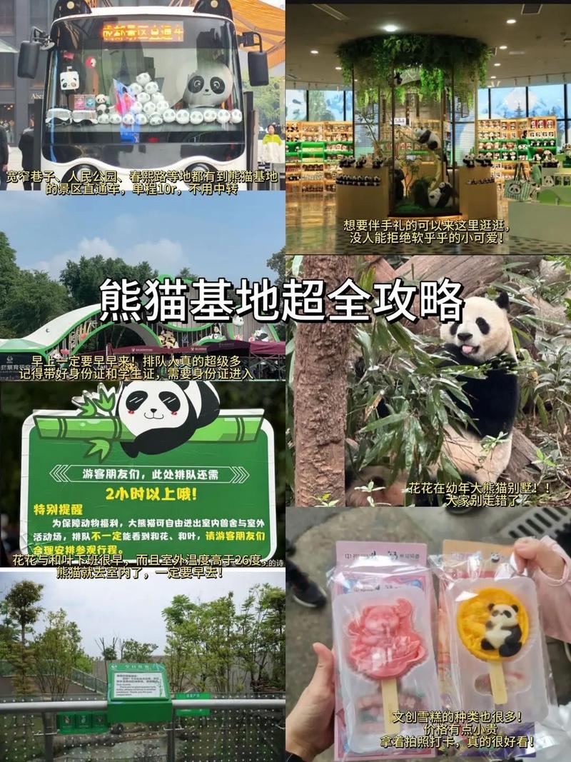 超级大熊猫最全游戏攻略解说_超级大熊猫最新游戏技巧通关