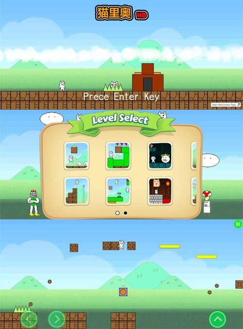 超级猫里奥最全游戏攻略解说_超级猫里奥最新游戏技巧通关