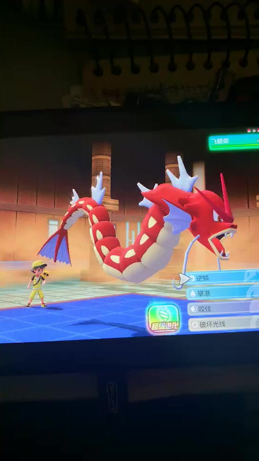 超级暴鲤龙最全游戏攻略解说_超级暴鲤龙最新游戏技巧通关