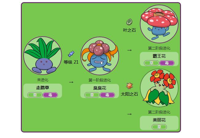 走路草最全游戏攻略解说_走路草最新游戏技巧通关