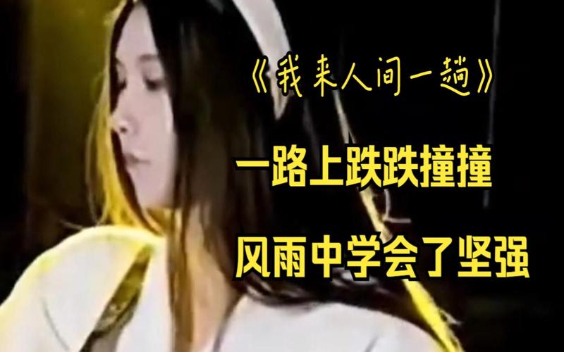 走在风雨中最全游戏攻略解说_走在风雨中最新游戏技巧通关