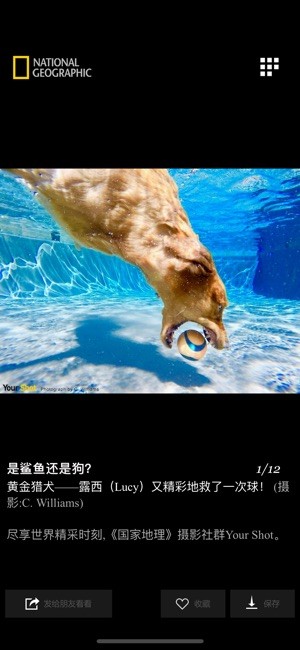 国家地理手机版下载