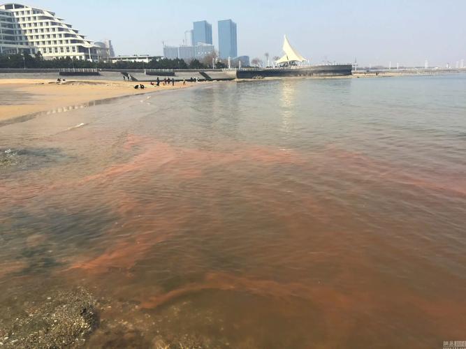 赤潮新手入门到精通攻略_赤潮必胜技巧全解析