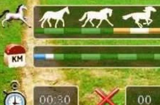 赛马游戏最全游戏攻略解说_赛马游戏最新游戏技巧通关