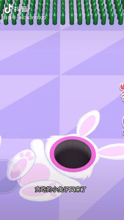 贪吃的兔子最全游戏攻略解说_贪吃的兔子最新游戏技巧通关