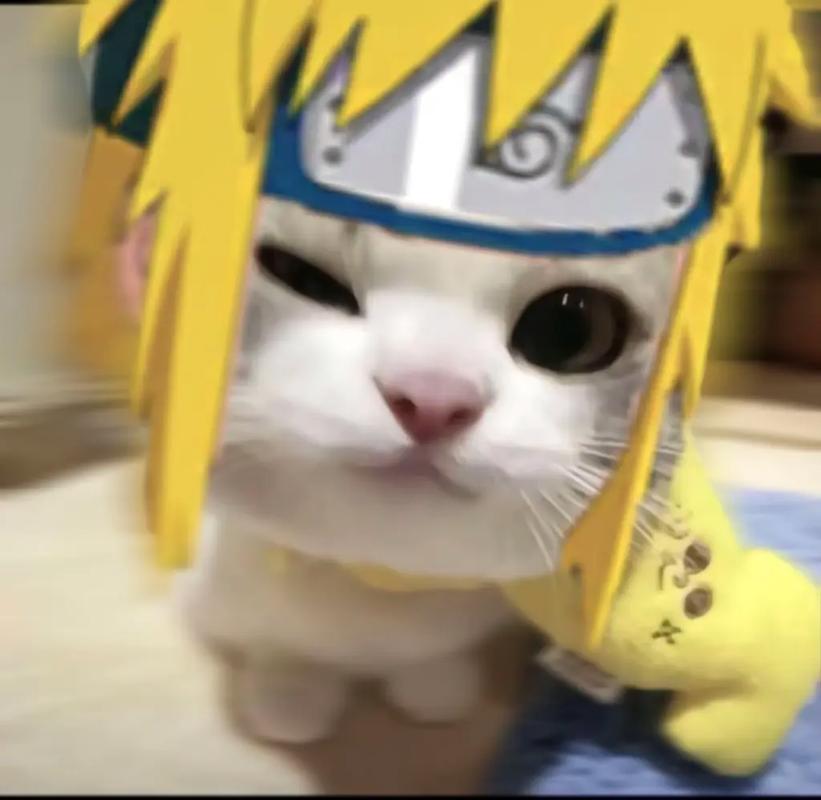 头像对对碰手游下载_头像对对碰官网下载_手机安卓苹果app