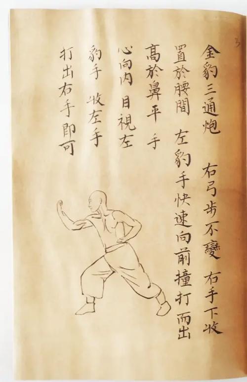 豹拳最全游戏攻略解说_豹拳最新游戏技巧通关