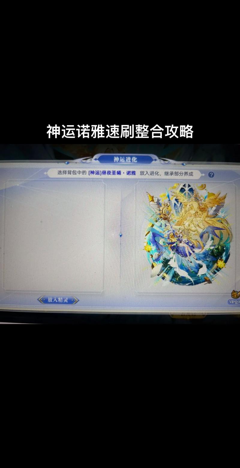 诺雅全流程攻略秘籍_诺雅高效通关技巧分享