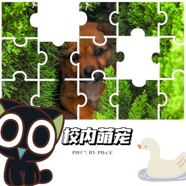 记忆拼图最全游戏攻略解说_记忆拼图最新游戏技巧通关