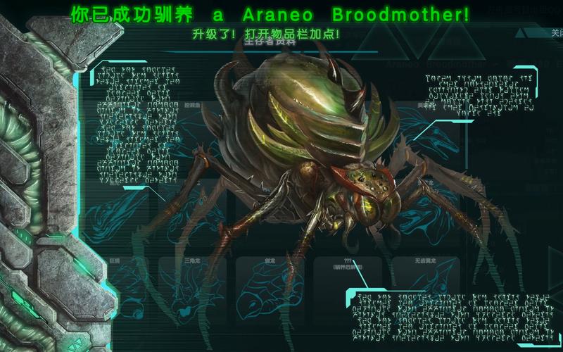 训母最全游戏攻略解说_训母最新游戏技巧通关