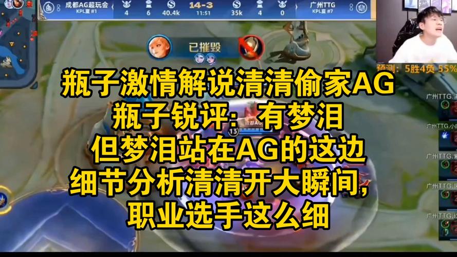 解说瓶子最全游戏攻略解说_解说瓶子最新游戏技巧通关